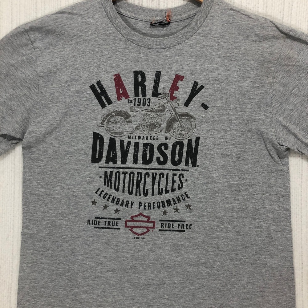 Harley Davidson Brandon Florida Graphic T-Shirt Mens Heather Gray XL Distressed